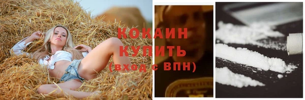 шишки Богданович
