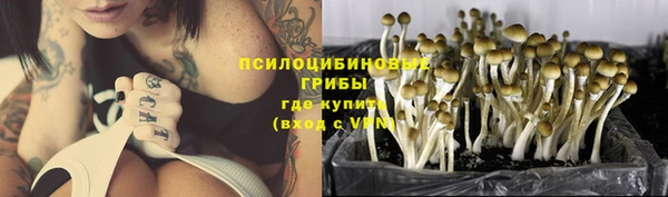 ПСИЛОЦИБИНОВЫЕ ГРИБЫ Богородицк