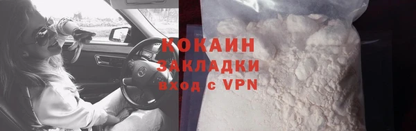 шишки Богданович