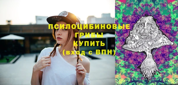 ПСИЛОЦИБИНОВЫЕ ГРИБЫ Богородицк