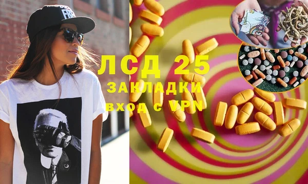 ПСИЛОЦИБИНОВЫЕ ГРИБЫ Богородицк