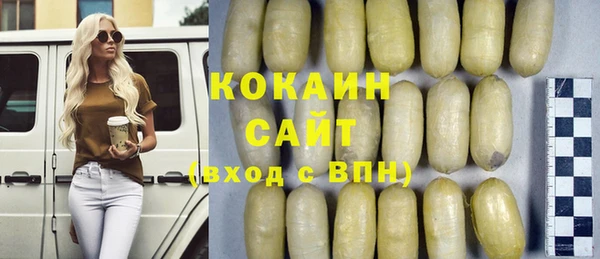 шишки Богданович